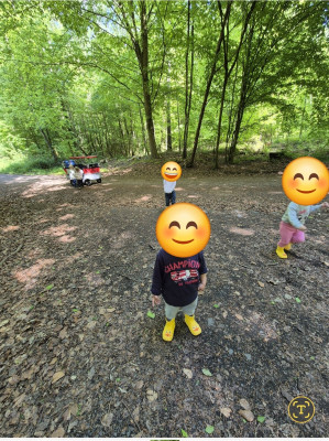 Unser Wald Unser Wald